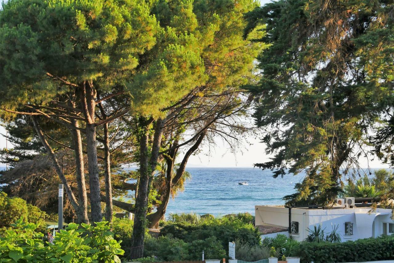 Les Moulins De Paillas La Croix-Valmer Εξωτερικό φωτογραφία